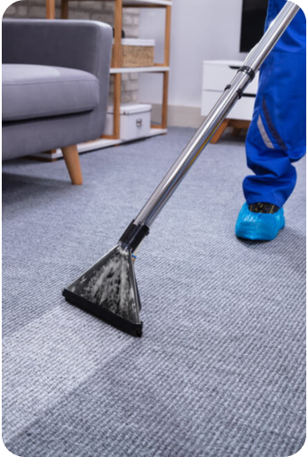 Carpet Clean Service FreshDrys